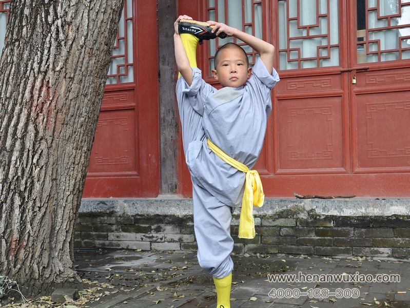 当然是有的,到少林寺武校学功夫全部都是3-25周岁的青少年儿童.