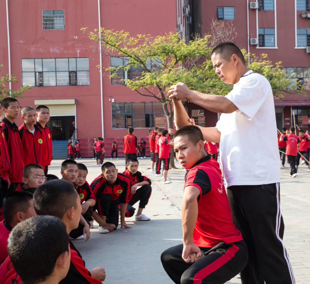 少林寺武校的学生在表演武术